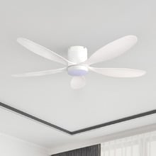 Winona 132cm AC Low Profile Smart Ceiling Fan with LED